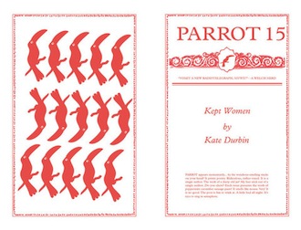 Parrot-15-Kept-Women-Kate-Durbin-3301